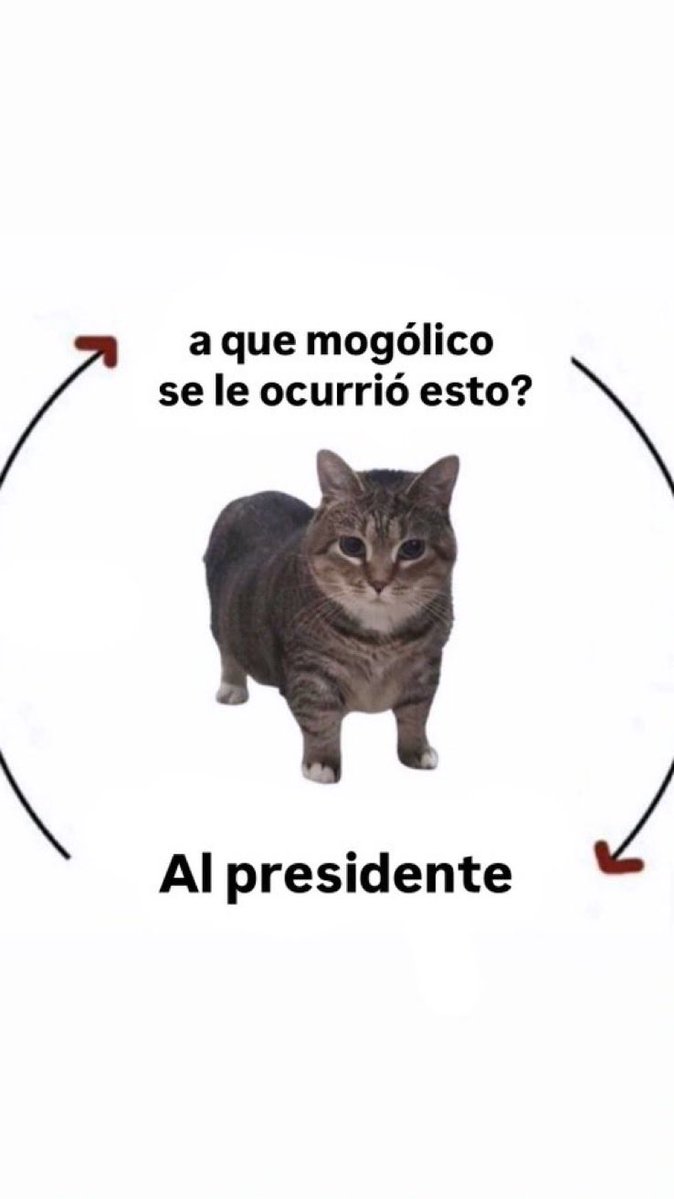 Yo, infectada 🙋🏻♀️✌️💚❌🌱❌🐍 tweet media