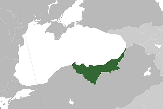 Charalampos of Thessaloniki tweet media