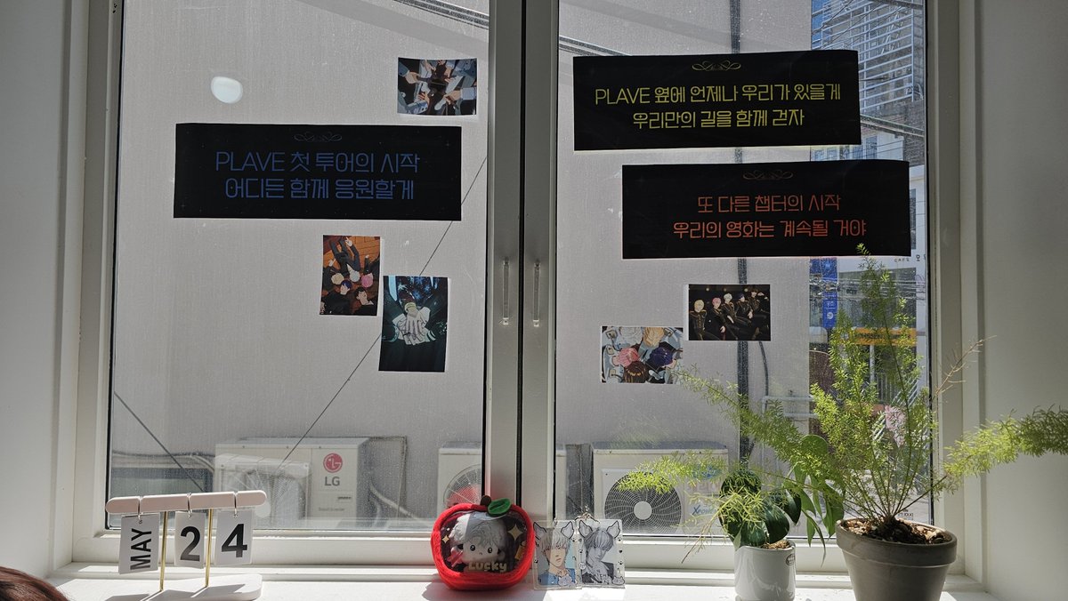 동그리(Slow) tweet media