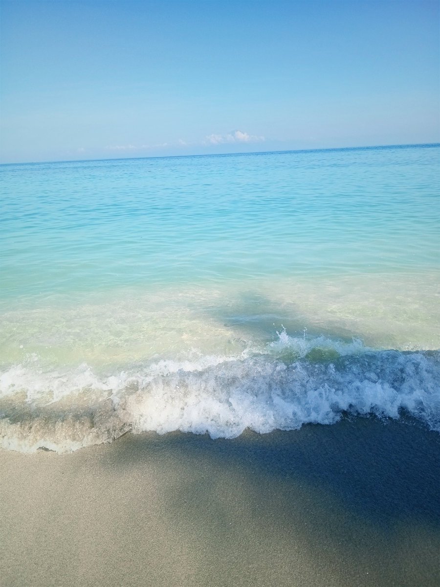 ヾil☆.⑅ tweet media