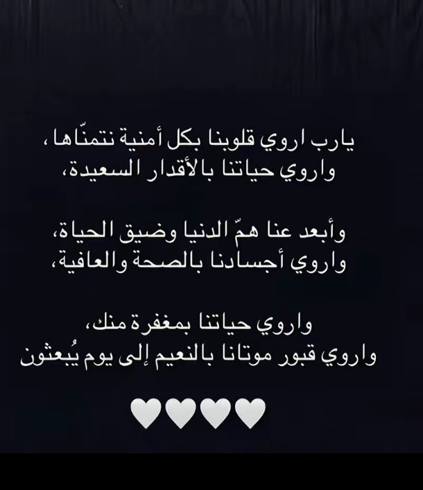 المهره 305🇸🇦💙 tweet media