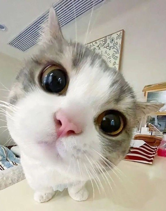 𝕊𝕦𝕟𝕟𝕪🍀 tweet media