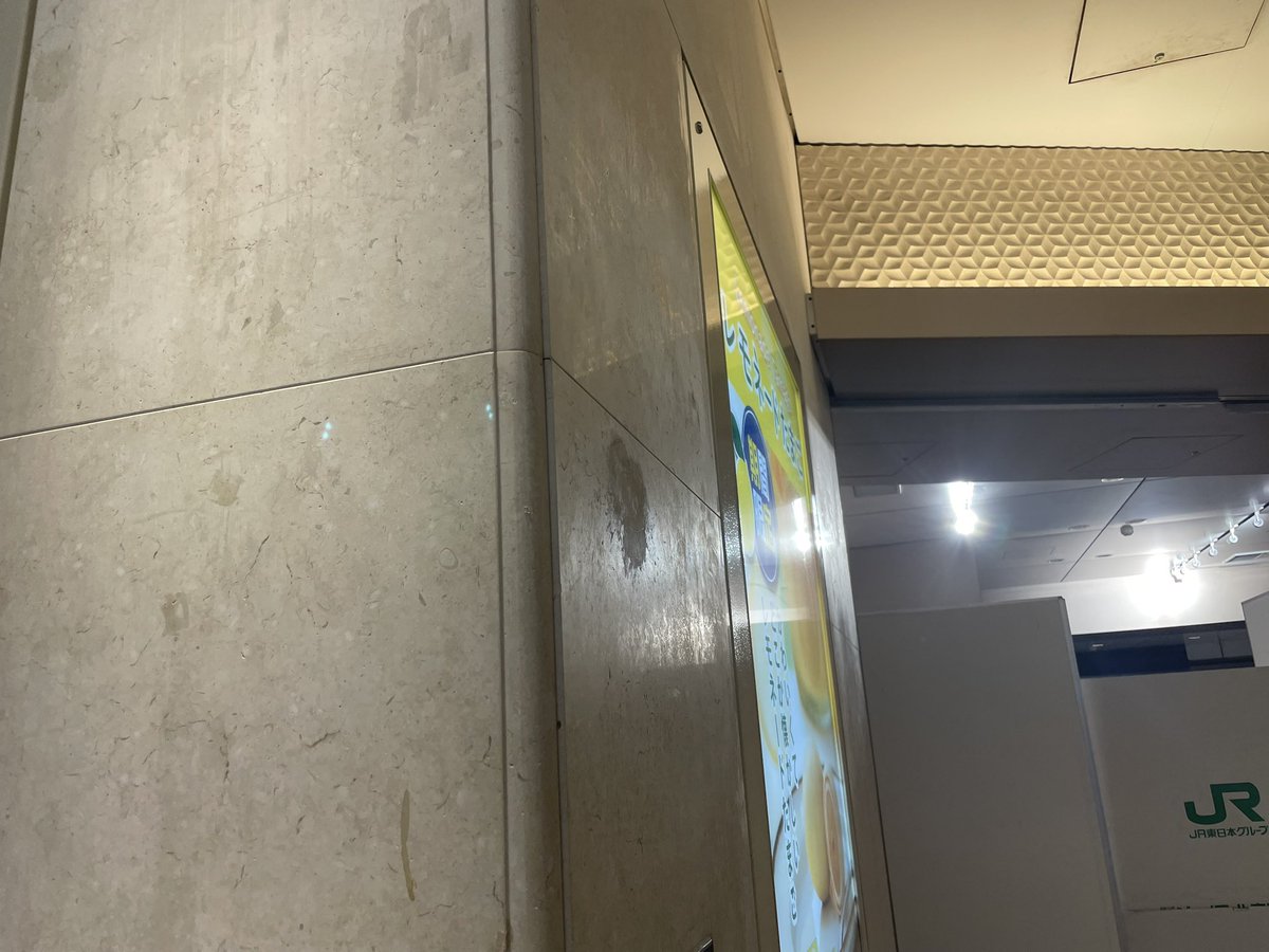 北瀬みくじ🐳⛩鯨類学VTuber tweet media