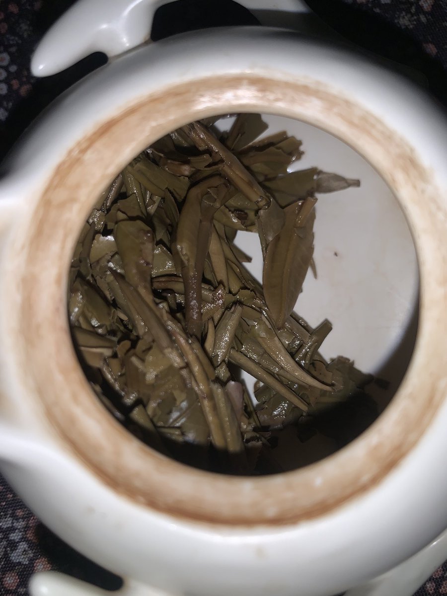 PonBaron290323's tweet photo. New white tea, now a proper part of my physical therapy which at this point just means anything but the meds I use to force my brain to produce hormones and boy this one is potent, legit got tea HIGH high off of it for the first time. Real tarpy and yet honey-esque flavors.

#tea https://t.co/AuUxgGgXmT