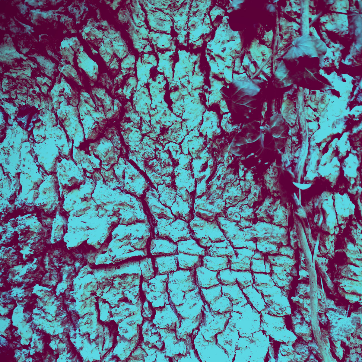 CyberNoise's tweet photo. CIRC @c1rc to release new digital single 'Rite' on 06/06/2026 https://t.co/3p9QgpDBcB https://t.co/AeD6LhBB8a