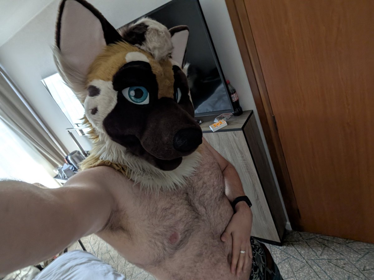 Biscoff Macchiato @Confuzzled tweet media