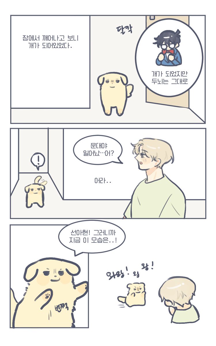 우다 tweet media