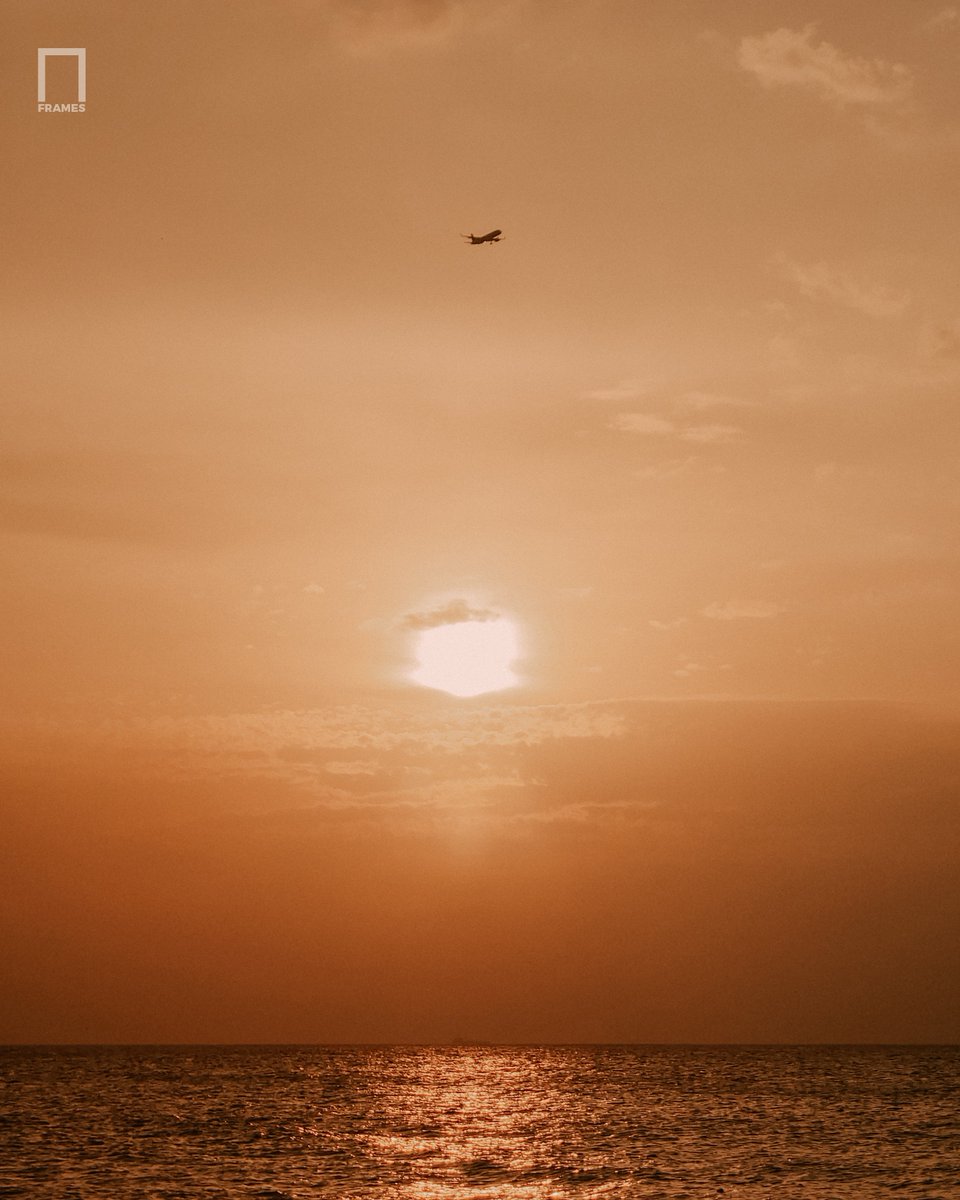 FramesMediaX's tweet photo. Golden Sunset at Negombo Beach | Sri Lanka 🌅✈️

The golden hour at Negombo beach hits differently! 
.
.
© 2026 Frames Media. All rights reserved
.
.
#negombo #negombobeach #sunsetphotography #srilanka #framesmedia #goldenhour  #shotonphone #sunsetlovers #travelsrilanka https://t.co/Hwp1SyHzQv