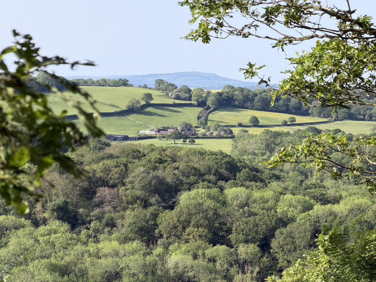ManelRoura's tweet photo. My early walk this morning…an 8 mile circular route Ercall, Lawrence Hill, Limekiln woods, Wrekin, Ercall. #Telford #Shropshire https://t.co/HS2KrEfYtg