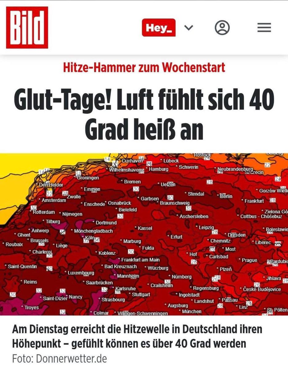 爪卂ㄒ丂ㄩ卄丨爪乇 Prinzessin der Sonne tweet media