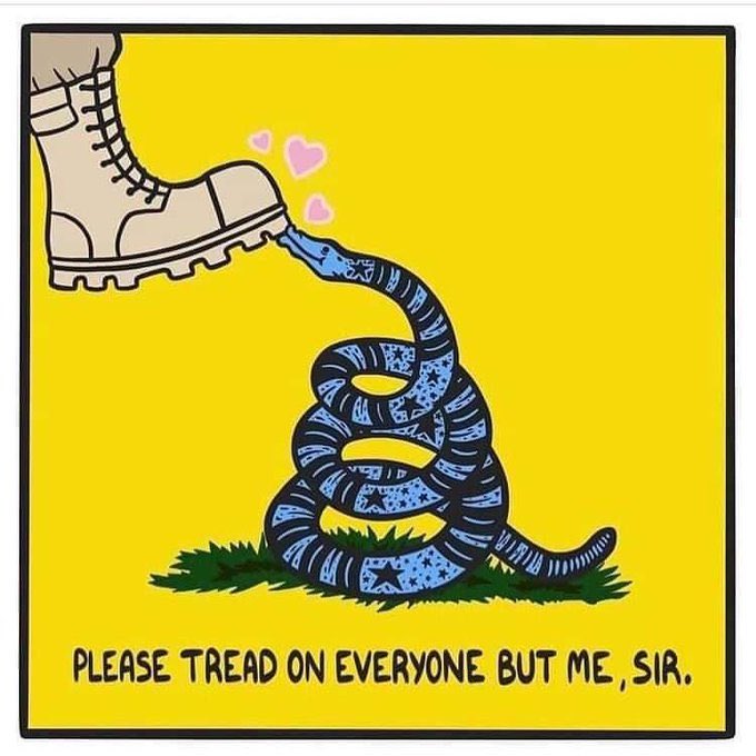Shenandoah VA Democrats 🥊4⚖️ tweet media