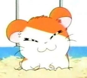 𝙋𝙞𝙋𝙞 🍥 tweet media
