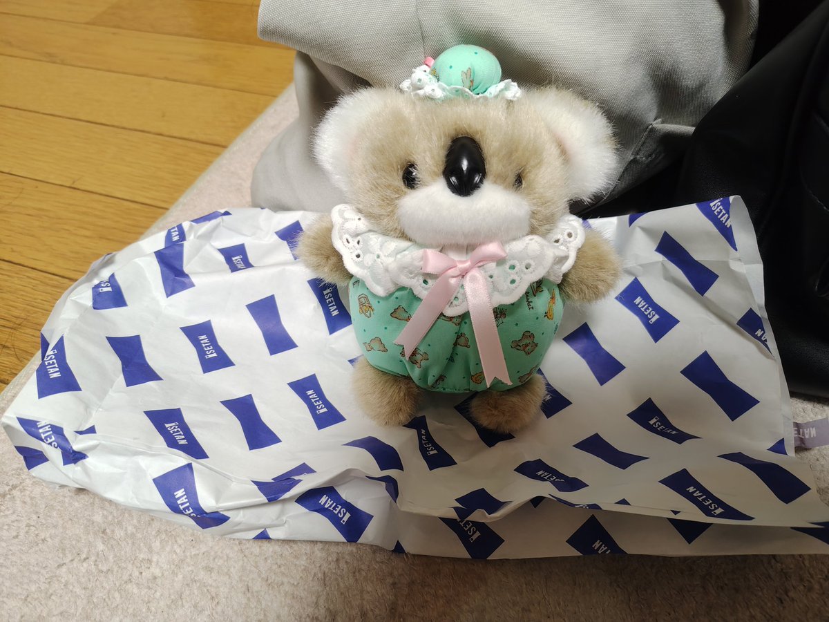 ぬいぐるみ #コアラ #たけのこ たけのこさんのコアラちゃんぬいぐるみ