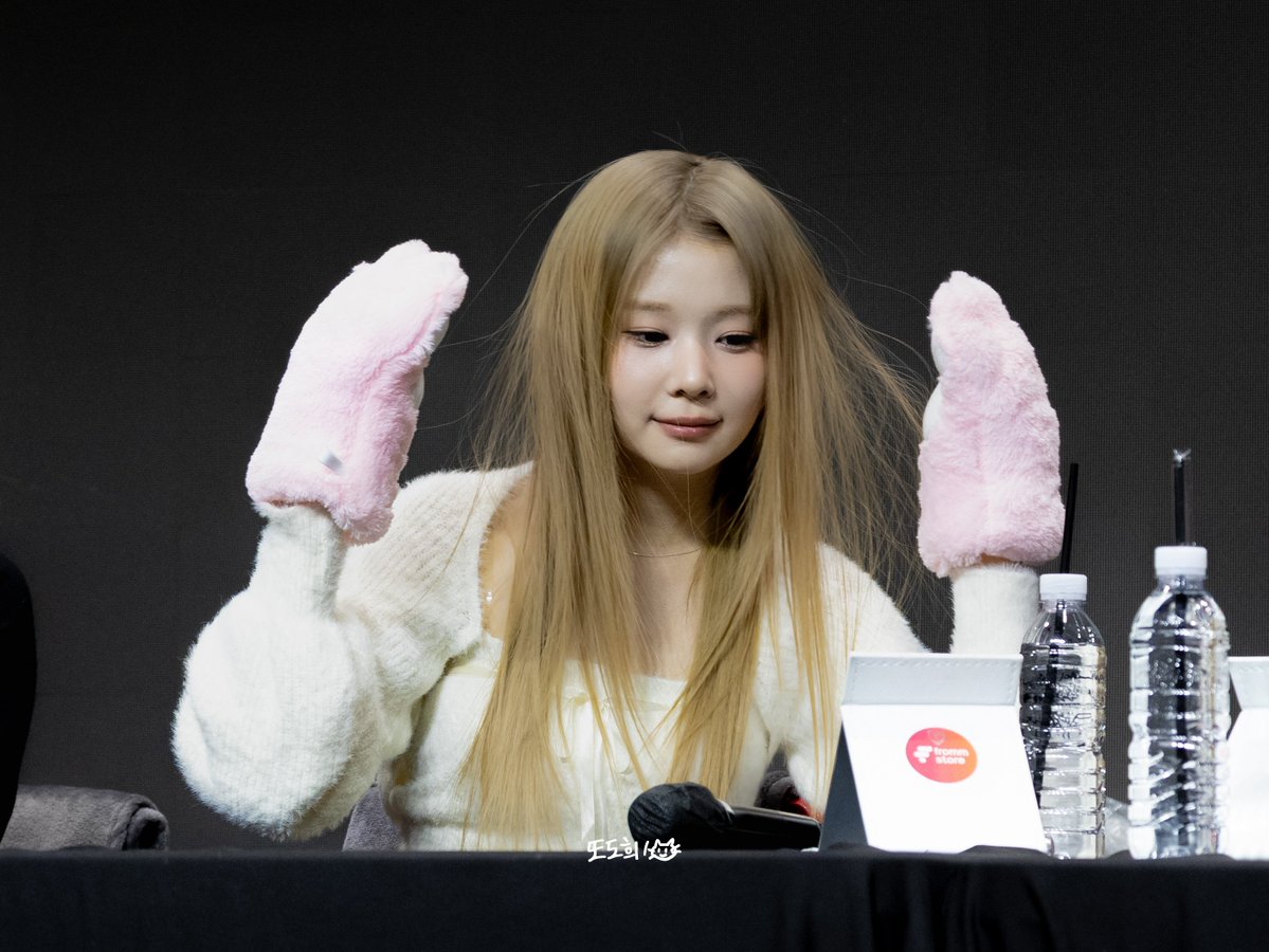 또도희! tweet media