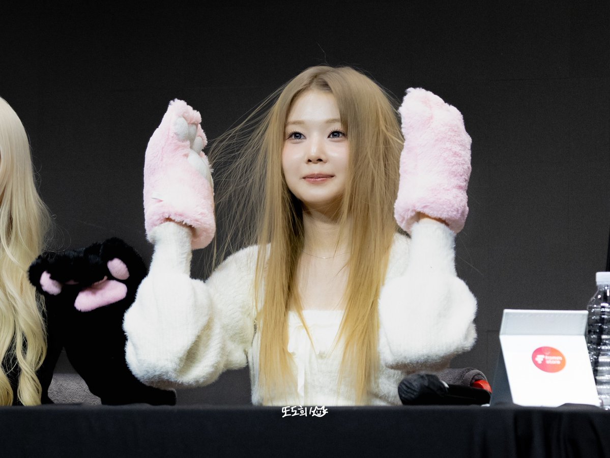 또도희! tweet media