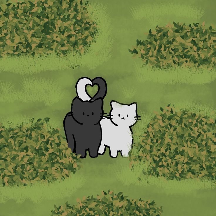 Miaw tweet media
