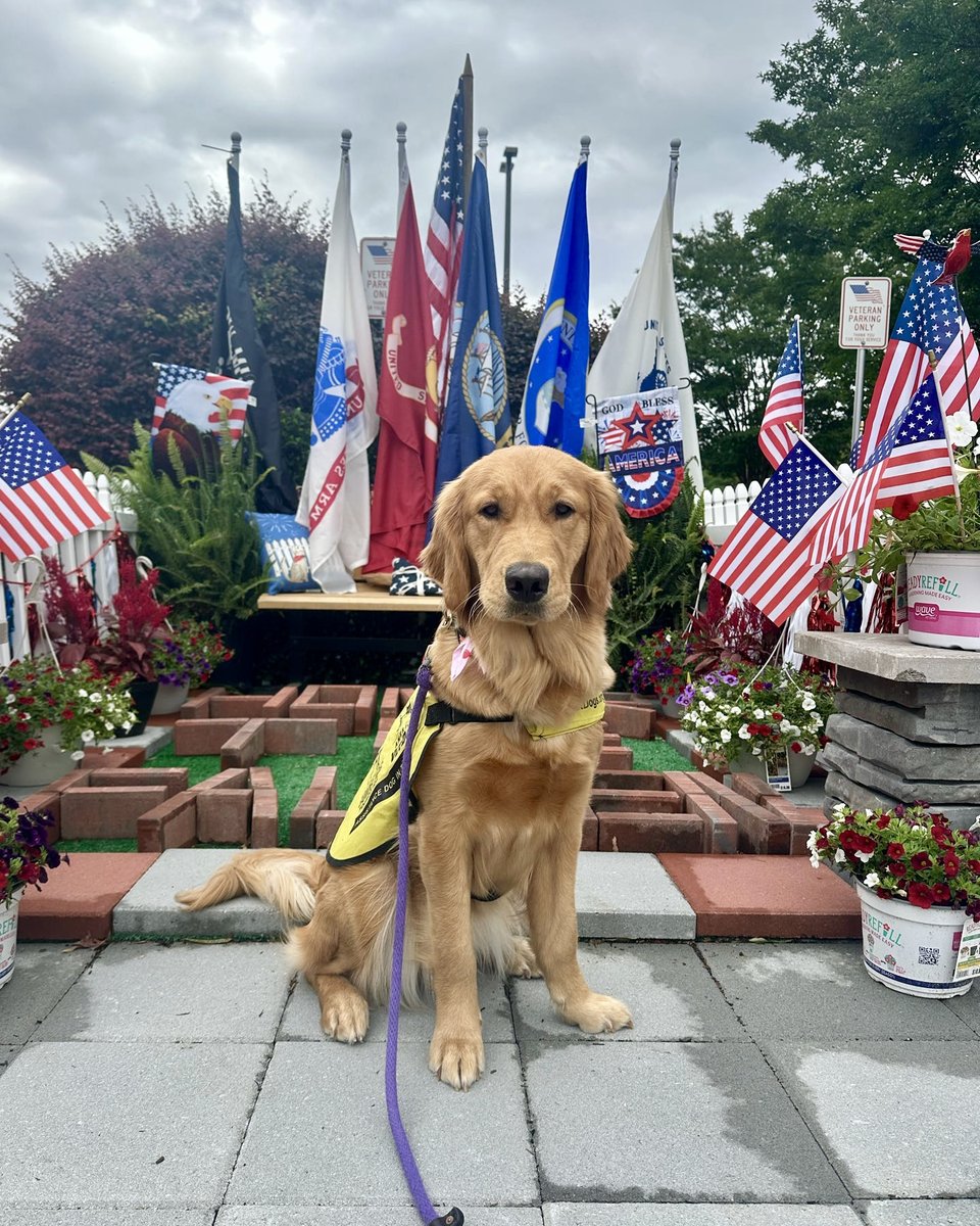 Guide Dog Foundation tweet media
