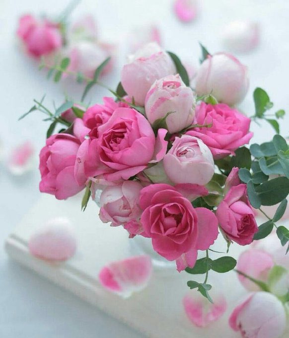 adel73467641's tweet photo. ☘️

افرح

الحمدلله فرحان 

كيف كنت تقول انك حزين

قلت دايم حزن ما يصير قلت ب افرح بعيد المسلمين والعيد والمسلمين مالهم شغل ب ظروفي https://t.co/XNf6pdbRgN