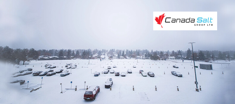 CanadaSalt's tweet photo. How Much Bulk Salt Do I Need for a 1-Acre Parking Lot?

Managing winter safety means knowing the right salt application. Learn how weather and traffic affect salt usage.

Read more:
https://t.co/kjabyyQrm0

#WinterMaintenance #SnowRemoval #ParkingLotSafety https://t.co/FzkKmSm5Dp