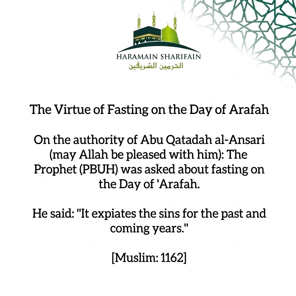 The Holy Mosques tweet media