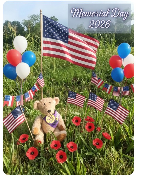 Sergeant Jared A very importantBear🧸 tweet media