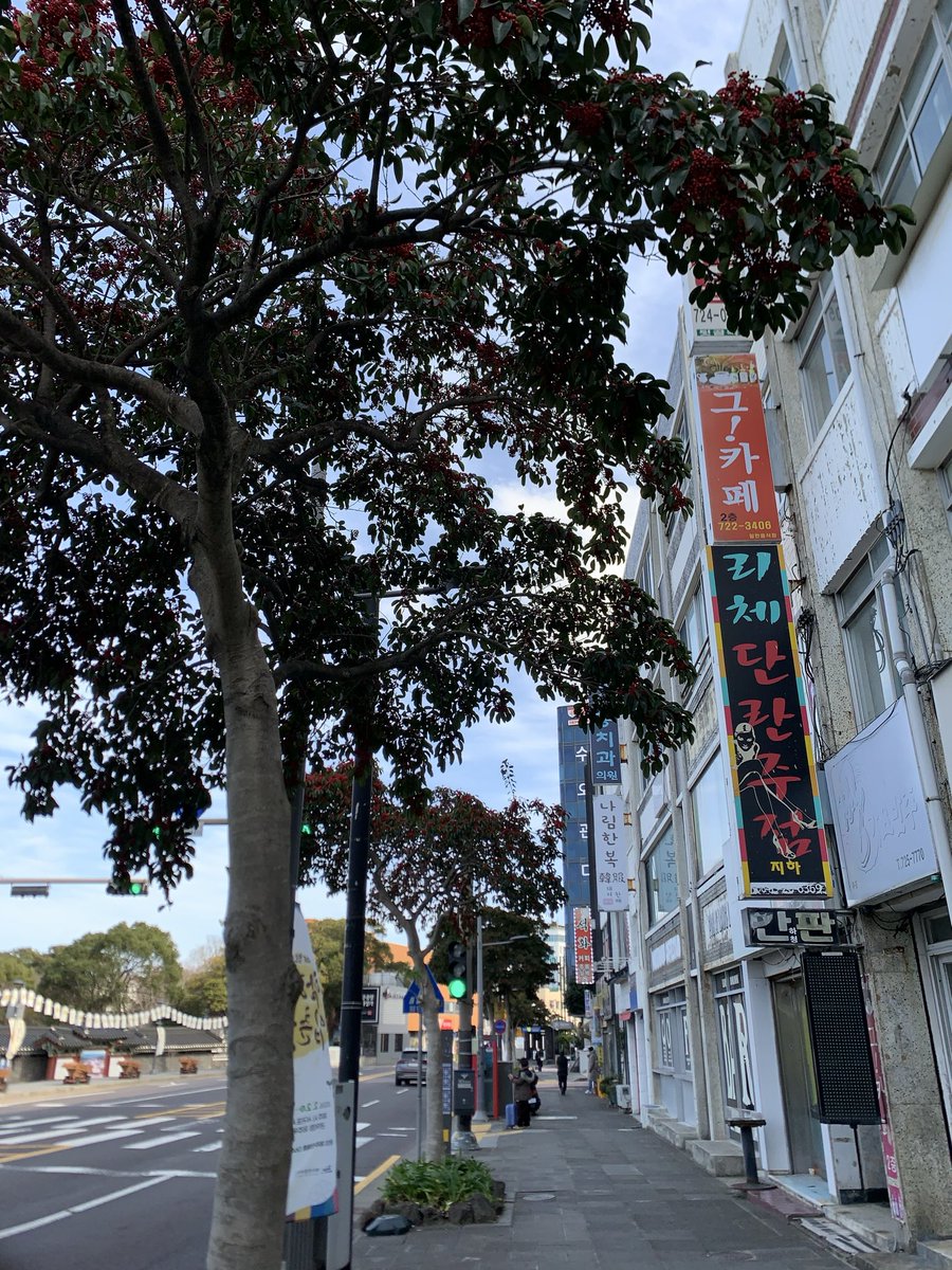 corrodsion's tweet photo. foto asal tapi di salah satu kota paling damai &amp; sepi di korea selatan.

tetep keliatan NGASAL sih, tapi ademnya juga kerasa 🥹 https://t.co/5HUn4dt5V9