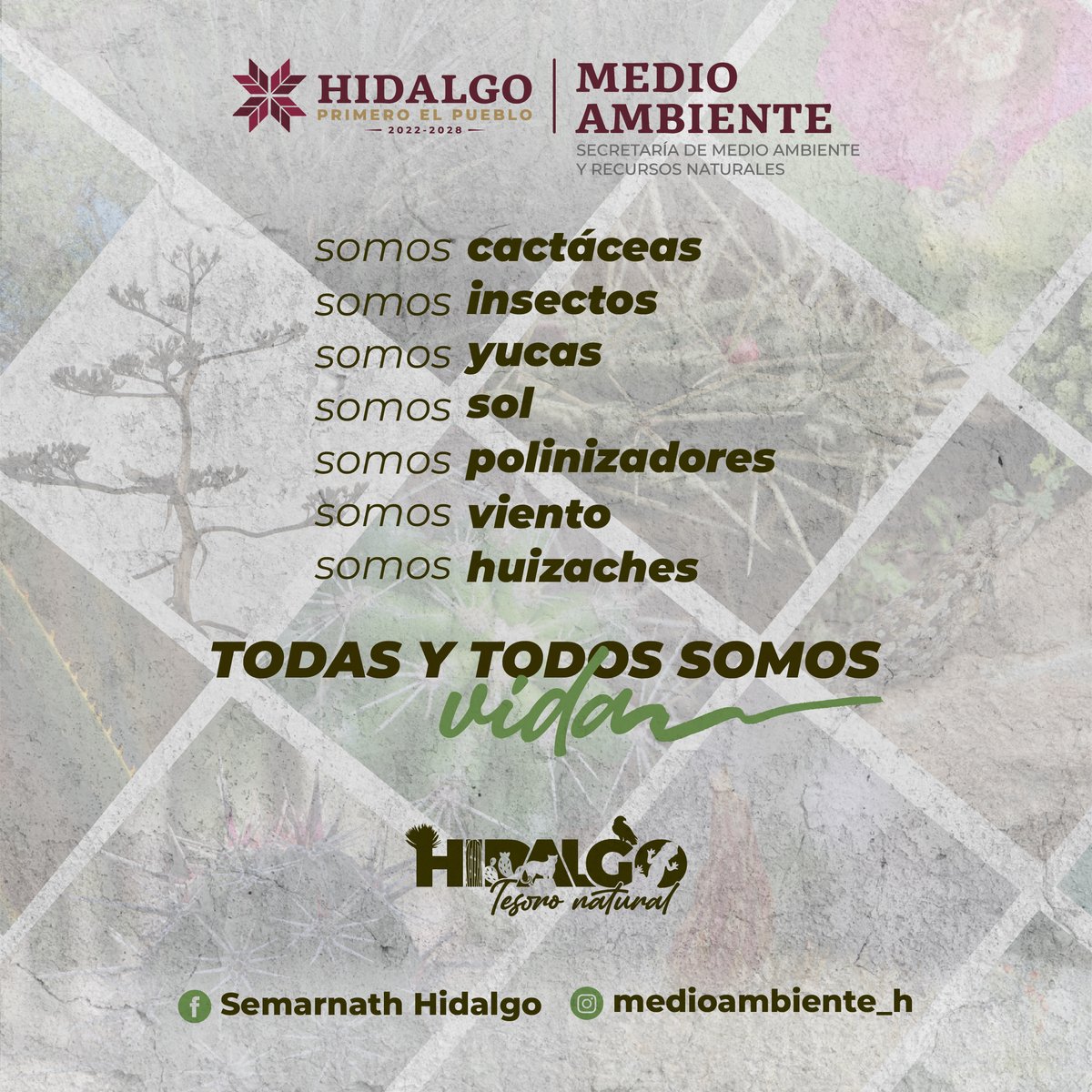 LILYMEDIA tweet media