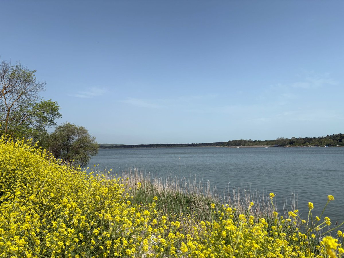 iskignmudurlugu's tweet photo. 🌊 Avrupa Yakası'nın en büyük içme suyu kaynağı Terkos Barajı...

🌼 Baharın renkleriyle buluşan barajlarımız, İstanbul’un yaşam kaynağı olmaya devam ediyor! 

📊 İstanbul genelinde baraj doluluk oranı % 71,72 olarak ölçüldü.

☀️ 💧Yaz mevsiminin yaklaşmasıyla birlikte her damla suyun değeri artarken, su tasarrufunu günlük yaşamın parçası haline getirmek her zamankinden daha büyük önem taşıyor.

♻️ Bireysel su tüketimimizi sadece %15 azaltarak bir Terkos Barajı kadar suyu birlikte kurtarabiliriz. 

🔗 Su tasarrufu için pratik yöntemler; https://t.co/Psf8f4bRy5