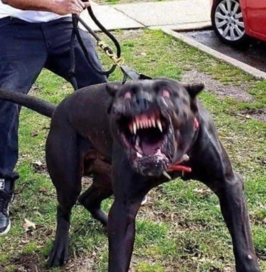 theisogawd's tweet photo. “come in he does not bite” what will be your reply?😂 https://t.co/H46lV28VJt