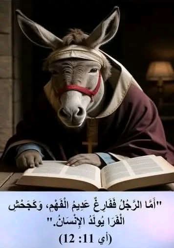 مصري مش قبطي tweet media