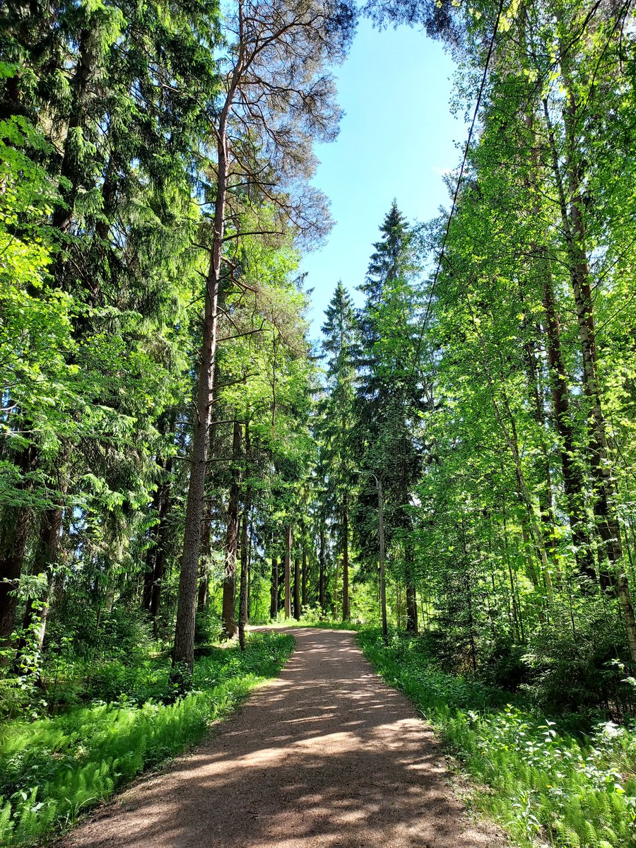 riikkamariaP's tweet photo. Mainioita juoksupolkuja Möskärin metsässä 🏃♂️
Tulihan vähän kyykkäiltyä roskiakia, vaikkei hamstring vielä ole ihan kunnossa.
Seurana pajulintu, peippo, hömötiainen, käpytikka, västäräkki, kirjosieppo, vihervarpunen...
#DrPlogging #LitterPicker https://t.co/qzXcCi3oPQ