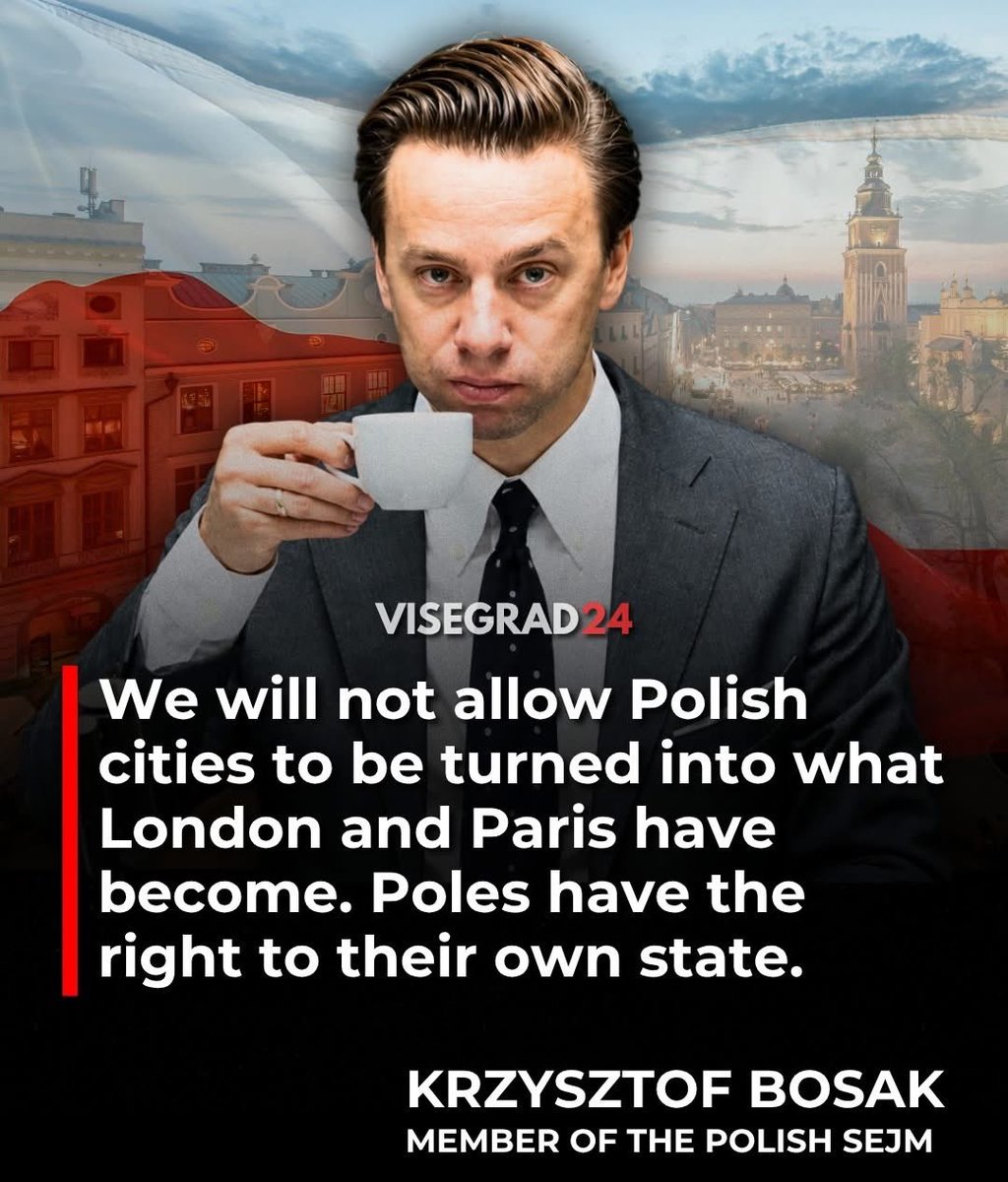 Visegrád 24 tweet media