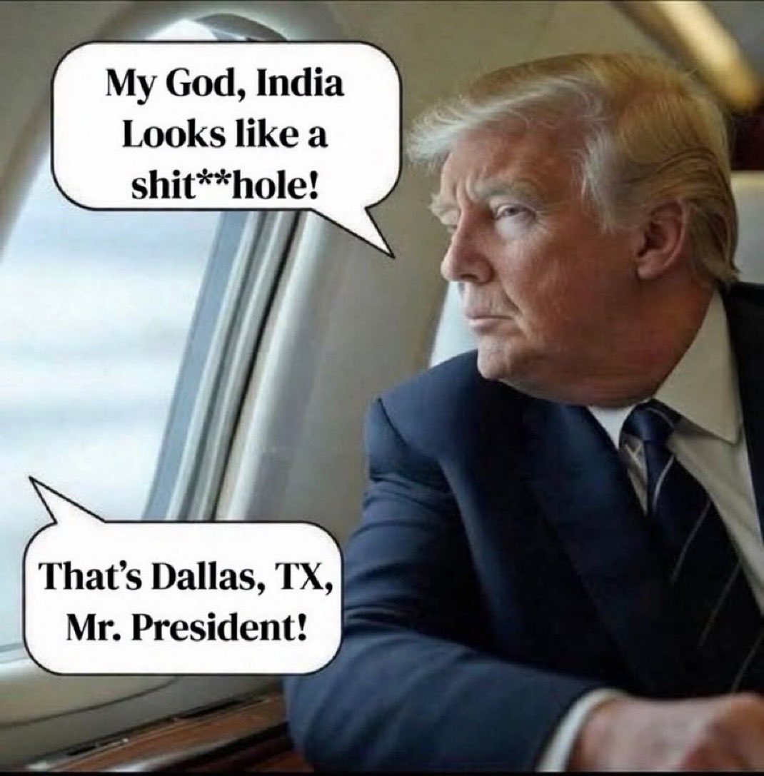 Patriotic Lion tweet media