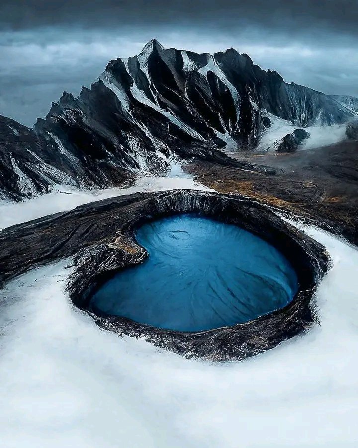Amazing Nature tweet media