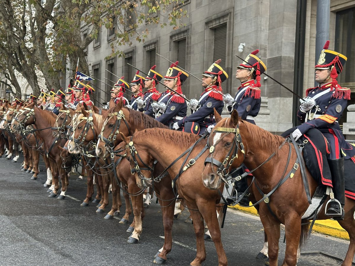 Granaderos a Caballo tweet media