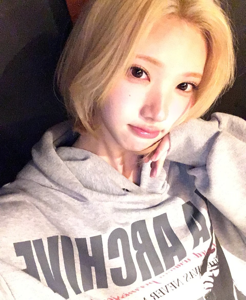 jiwoo tweet media