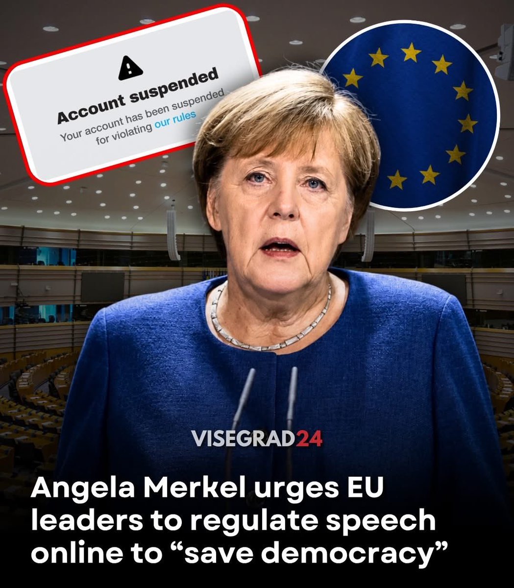 Visegrád 24 tweet media
