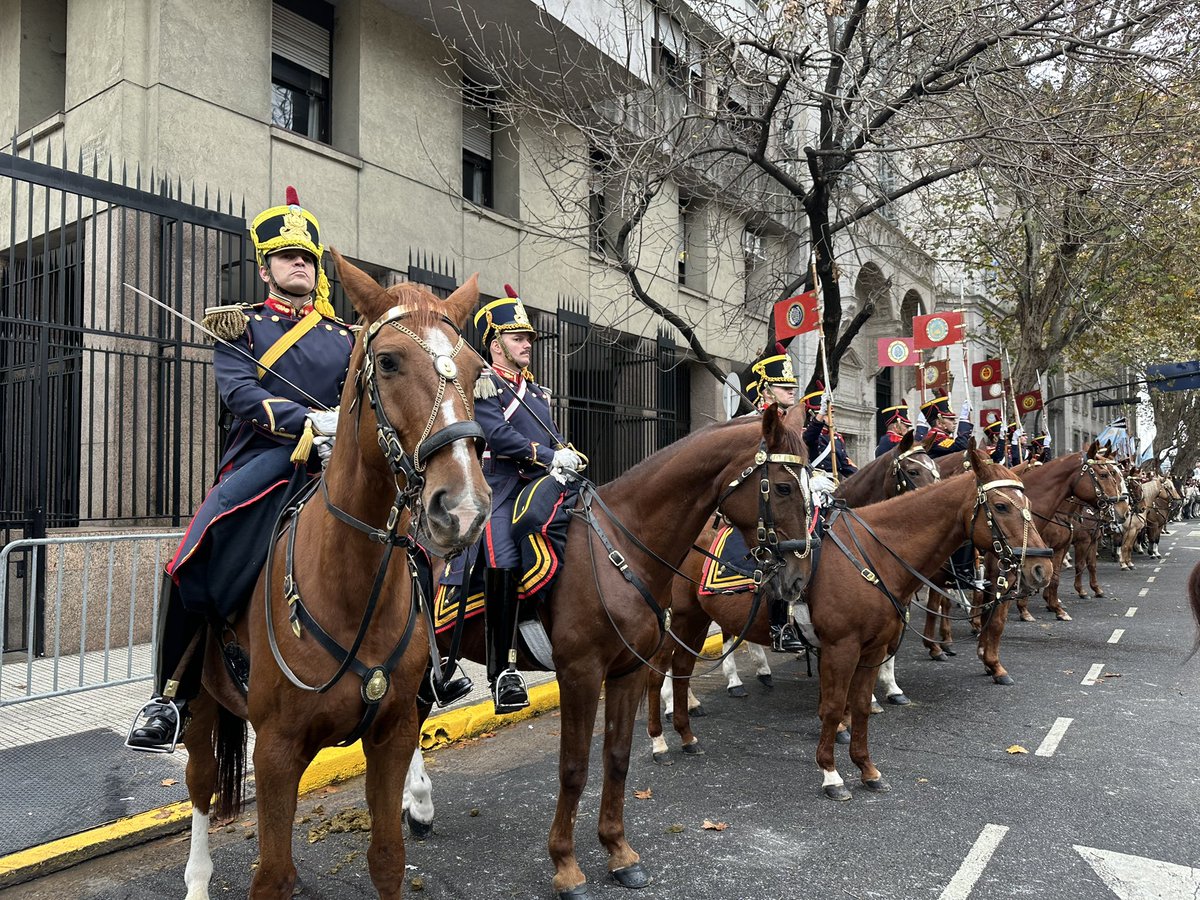 Granaderos a Caballo tweet media