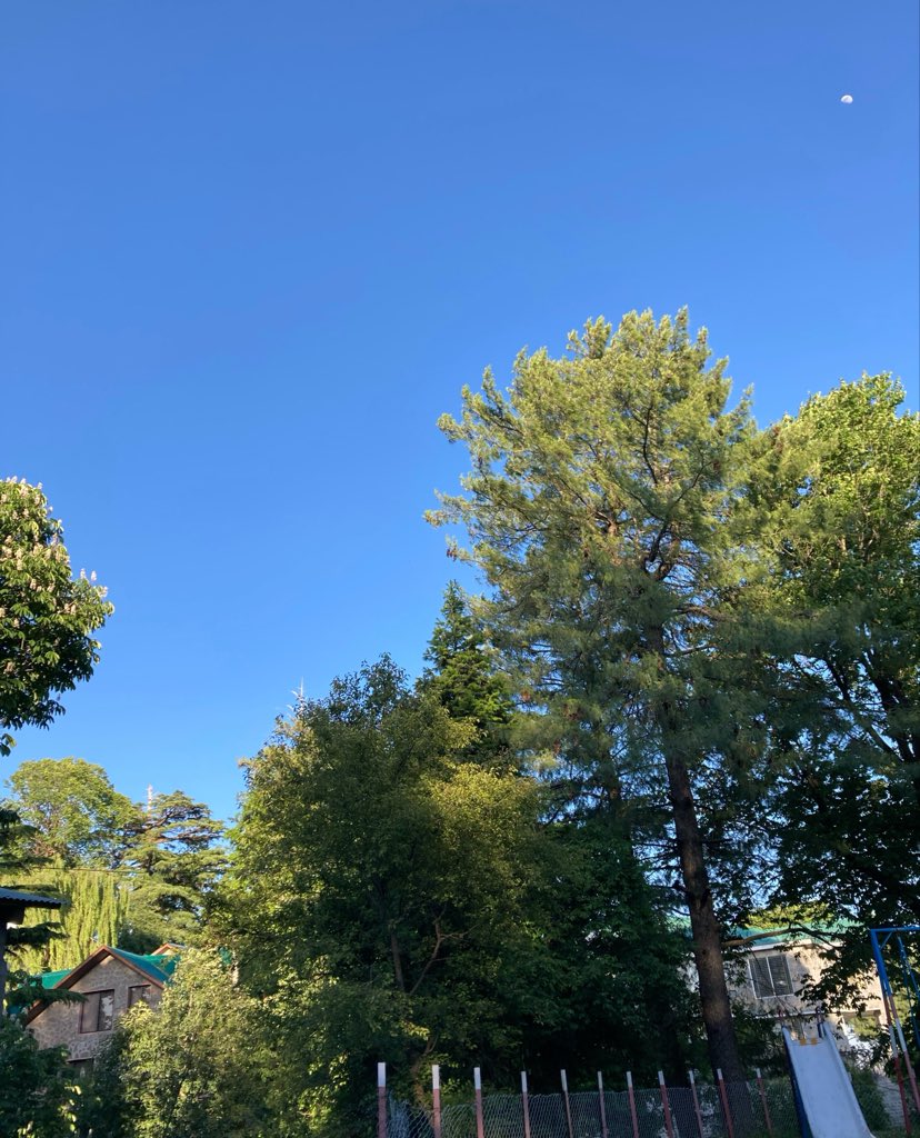 ajafri5's tweet photo. ⛰️ 🌲 https://t.co/L4CbtEPBNX