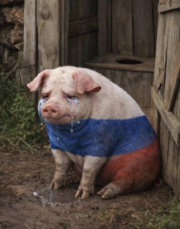 Branislav Trojan 🇸🇰🇪🇺 tweet media