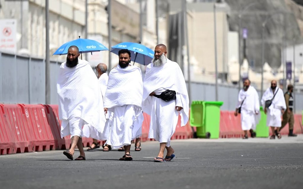 ريشه رسام tweet media