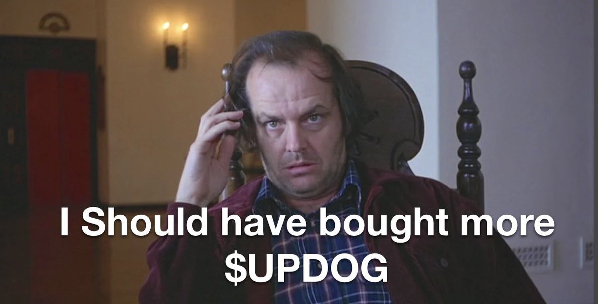 What’s Updog? tweet media