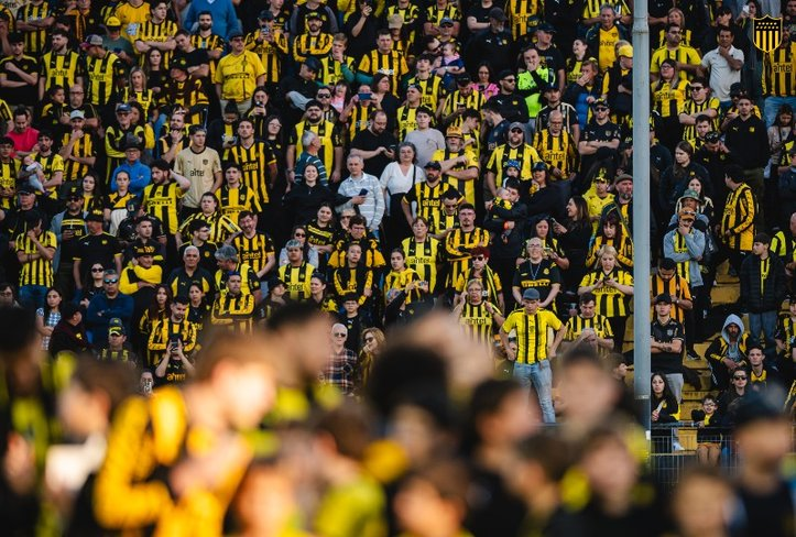 PEÑAROL tweet media