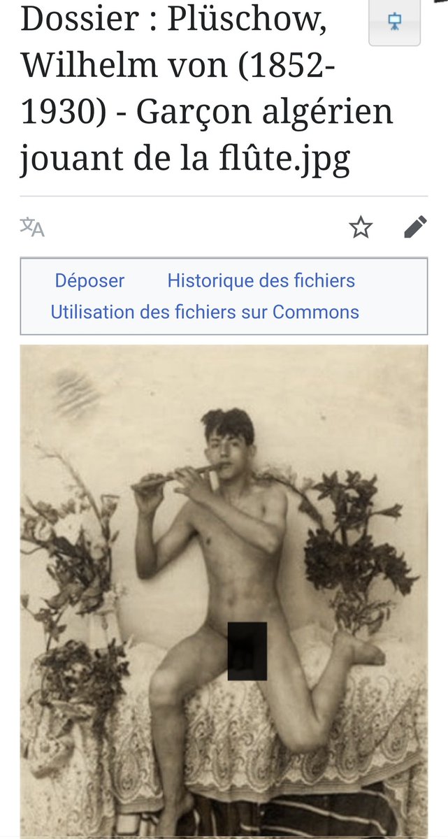 Moderox 🇲🇦⭐️⭐️🇲🇦 tweet media