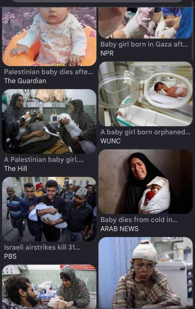 Prophet tweet media