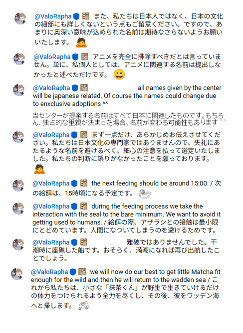アザラシ情報 tweet media