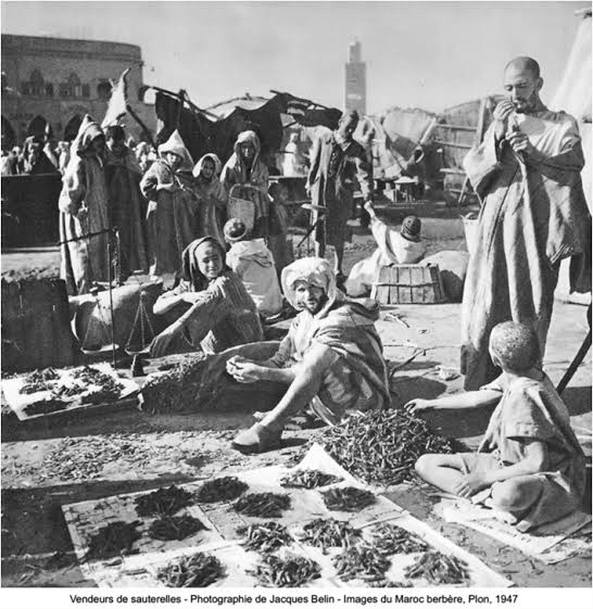 ⴰⴳⴳ ⵎⵓⵍⵓⴷ🇩🇿🇵🇸🇪🇭 tweet media
