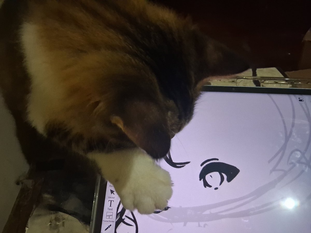 akira / wave tweet media