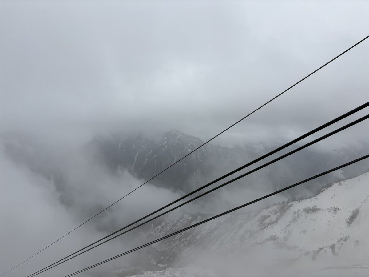 panda_dot's tweet photo. 昨日のお昼くらいに居た、雲の上⛰️❄️ https://t.co/BgPCEtZ9eT