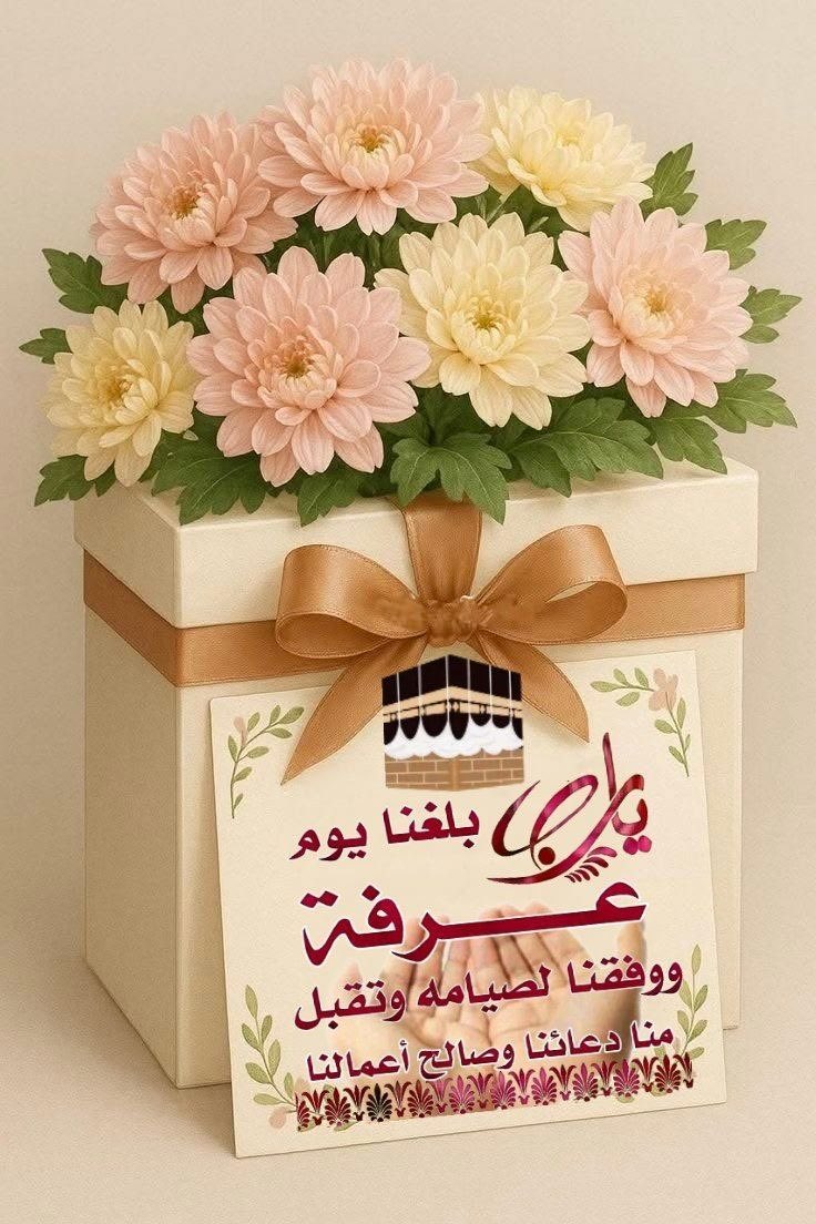 حصه الراشد أم محمد tweet media